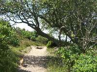 Nationalpark - Naturschutzgebiet in Dänemark